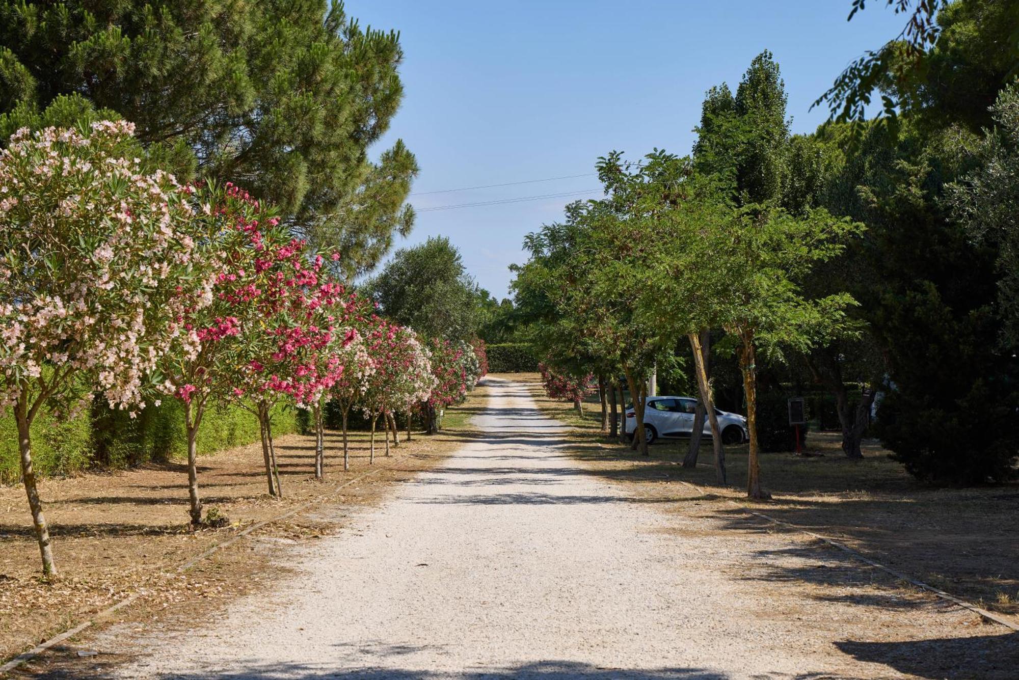 Costa D'Argento - Camping Village Club Capalbio Exterior foto